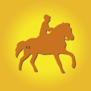 Bernsteinreiter GmbH Logo