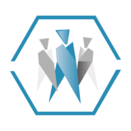 Truva Executive Logo