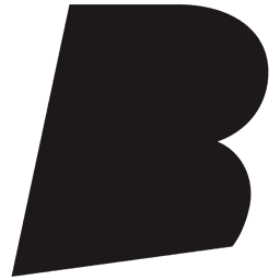 Bragi Logo
