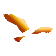 BPM Ingenieurgesellschaft mbH Logo