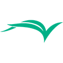 Cultural Vistas gGmbH Logo