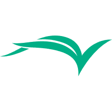 Cultural Vistas gGmbH Logo