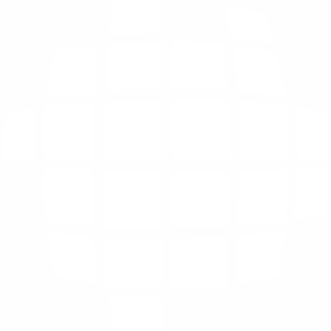 DMS Daten Management Service Logo