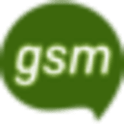 gsm GmbH Logo
