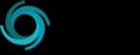 Customs Support Group Logo