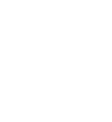 ZI Mannheim Logo