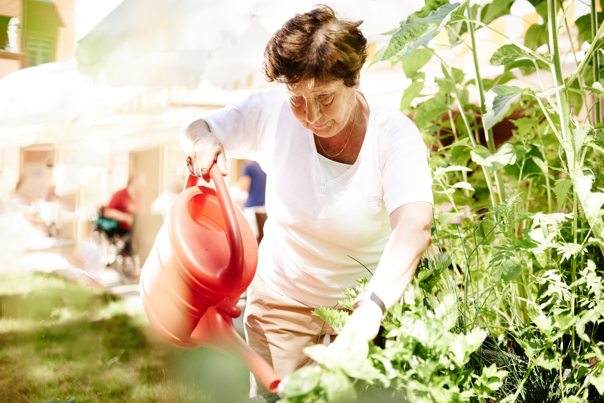 advita Holding GmbH Logo