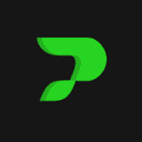 Peitz Consulting GmbH Logo