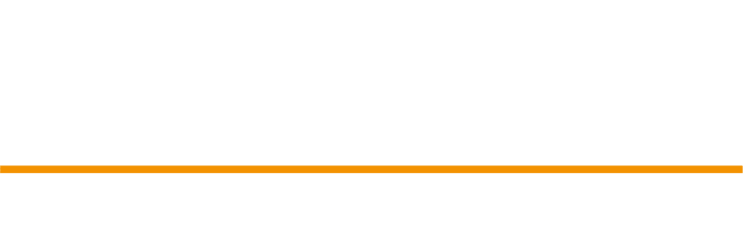 German Sport Guns GmbH Logo