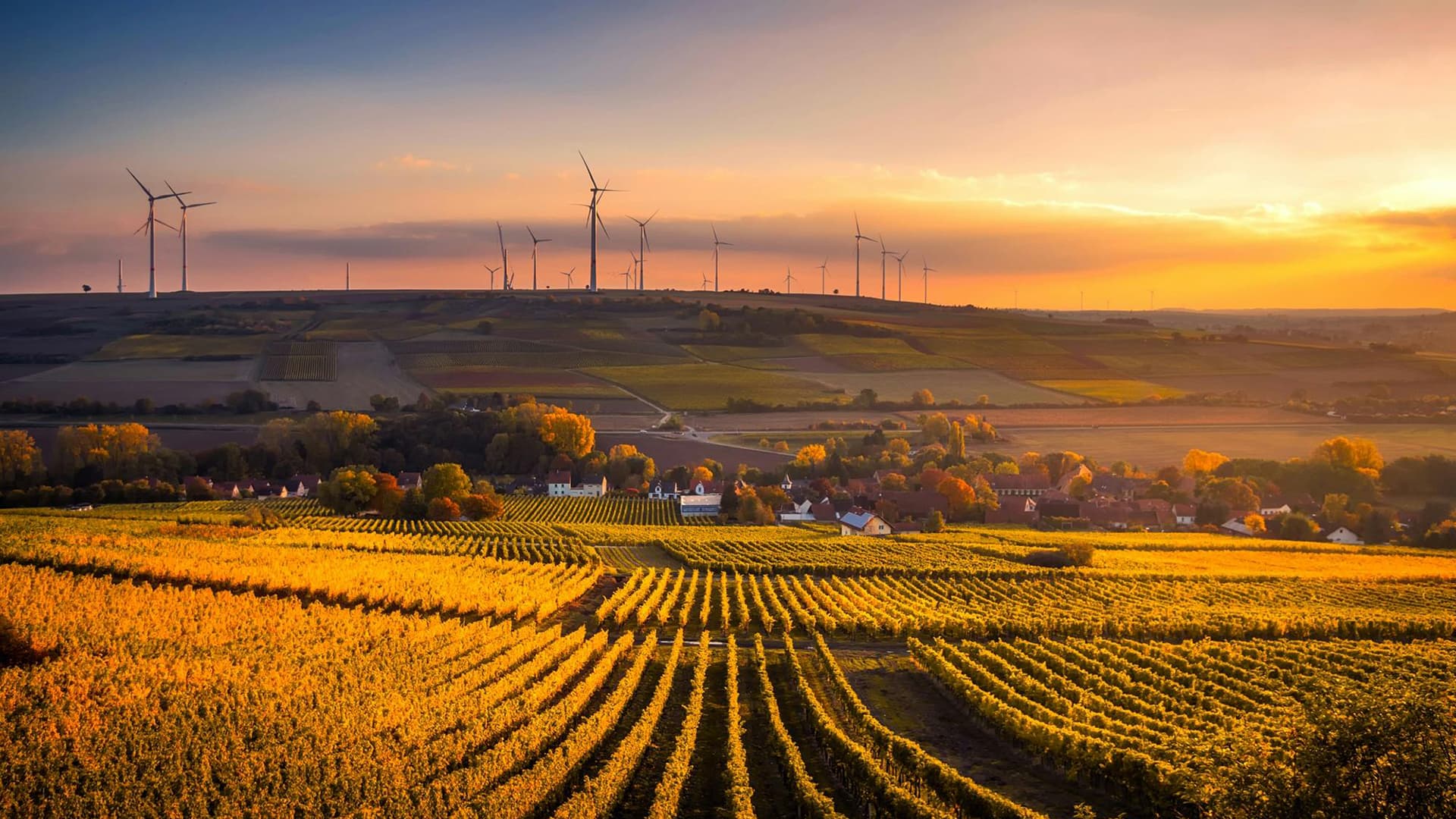 AGCO GmbH, Fendt-Marketing Logo