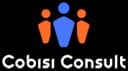 Cobisi Consult - Die Personalberatung für den Mittelstand im DACH-Raum Logo