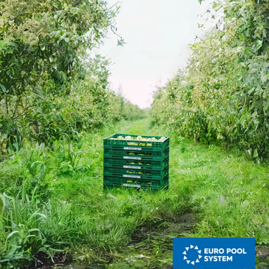 Euro Pool System International (Deutschland) GmbH Logo