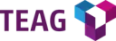TEN Thüringer Energienetze GmbH & Co. KG Logo