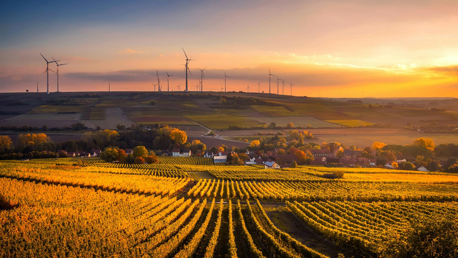 AGCO GmbH, Fendt-Marketing Logo